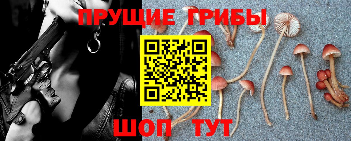 Новоалександровск  Псилоцибиновые грибы GOLDEN TEACHER  Вход с VPN 